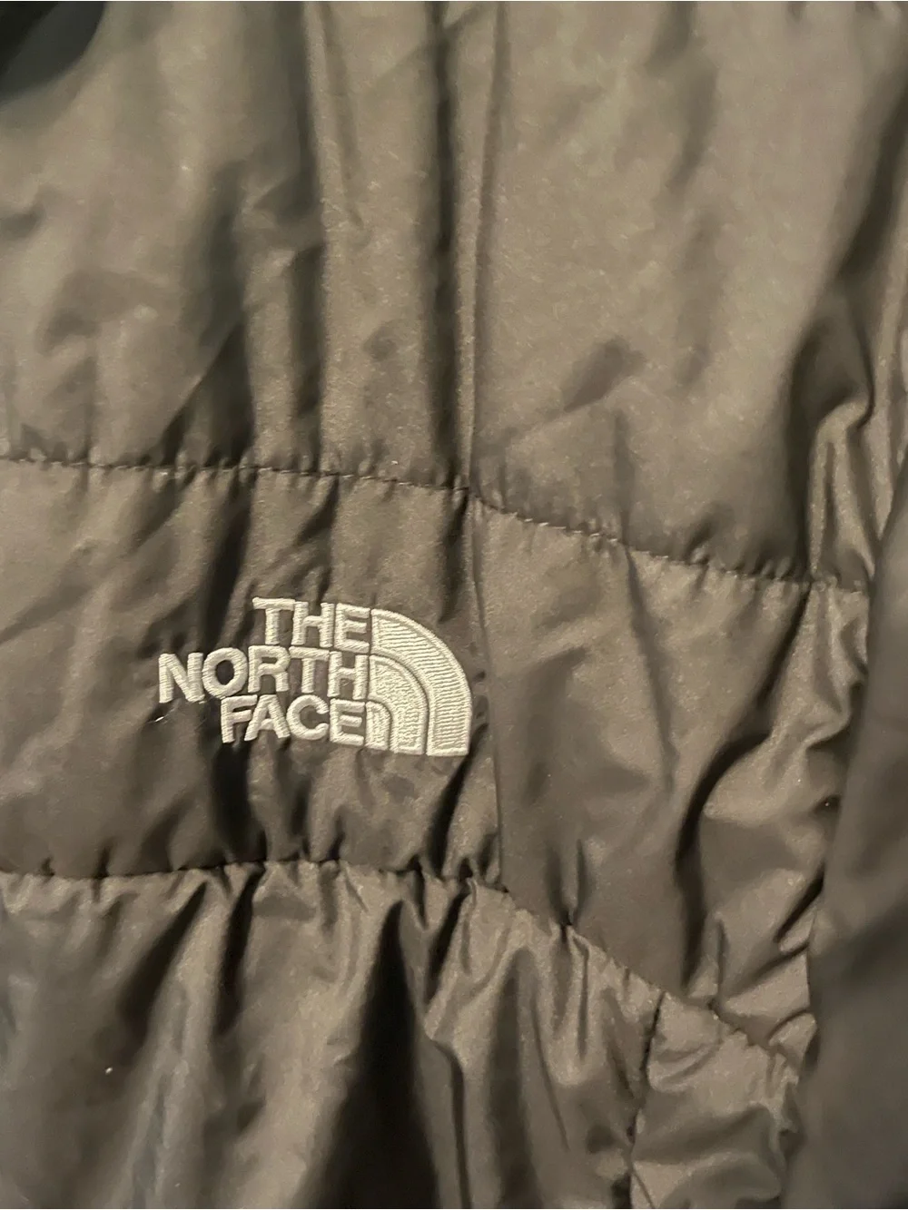 The North Face Men's Black Quilted Puffer Jacket